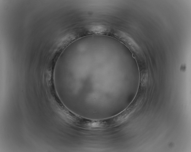 X0000094800365200711161503
