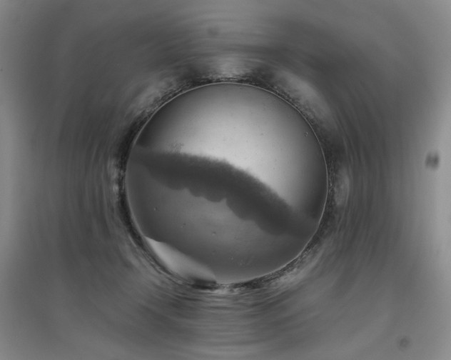 X0000094800366200711161503