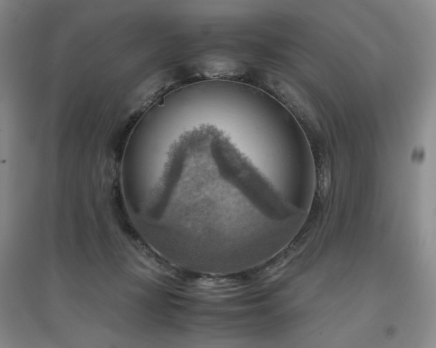 X0000094800367200711161503