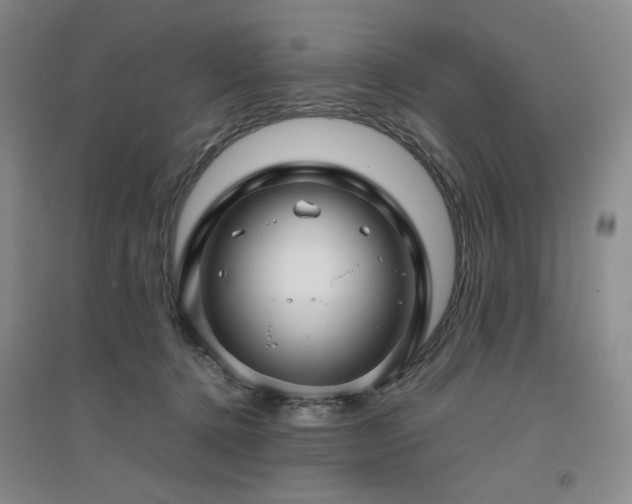 X0000094800368200711161503