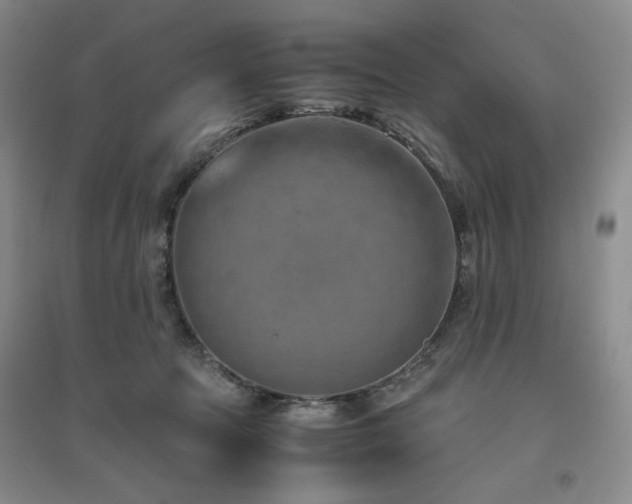 X0000094800369200711161503