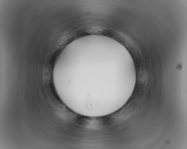 X0000094800370200711161503