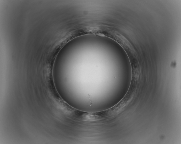 X0000094800372200711161503
