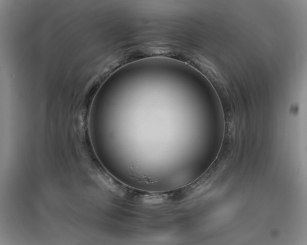 X0000094800373200711161503