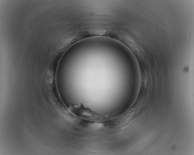 X0000094800374200711161504