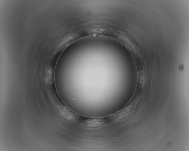 X0000094800378200711161504