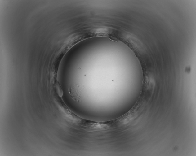 X0000094800379200711161504
