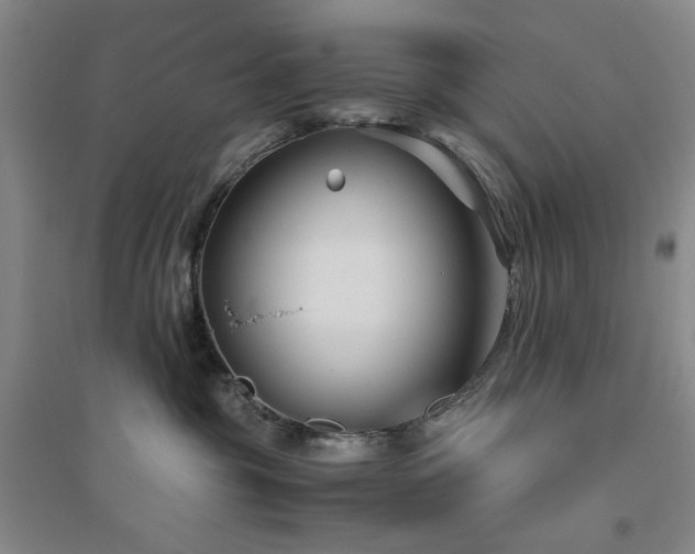 X0000094800381200711161504