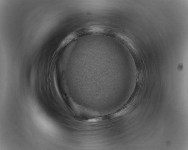 X0000094800382200711161504