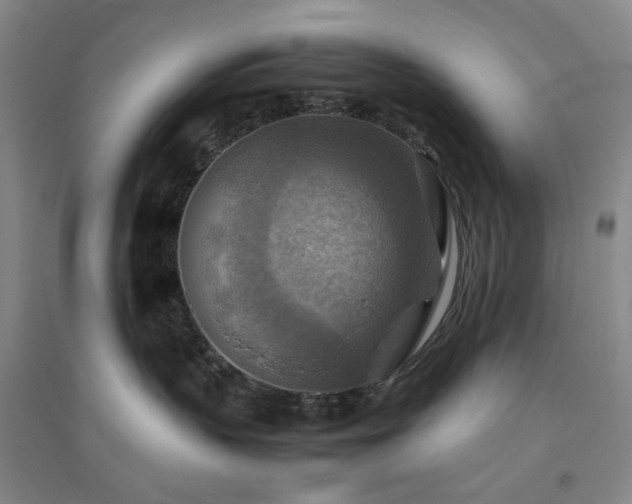 X0000094800383200711161504