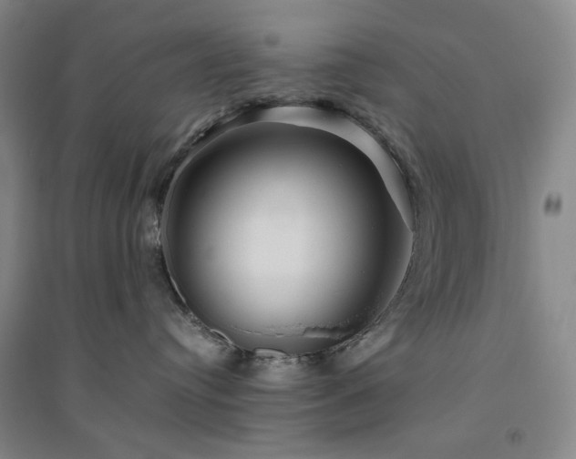 X0000094800384200711161504