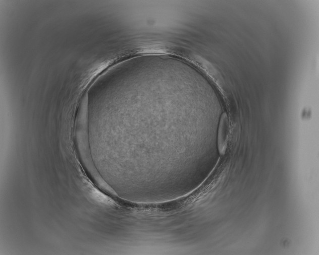 X0000094800385200711161503