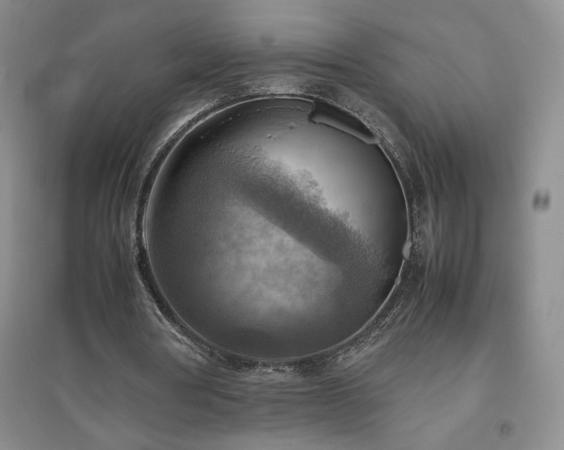 X0000094800386200711161503