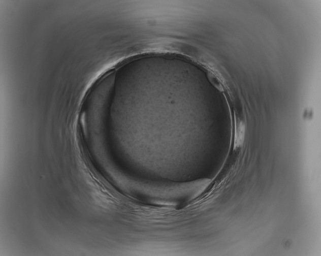 X0000094800387200711161503