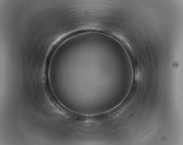 X0000094800388200711161503
