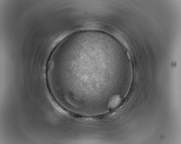 X0000094800389200711161503