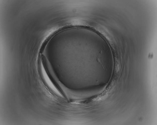 X0000094800391200711161503