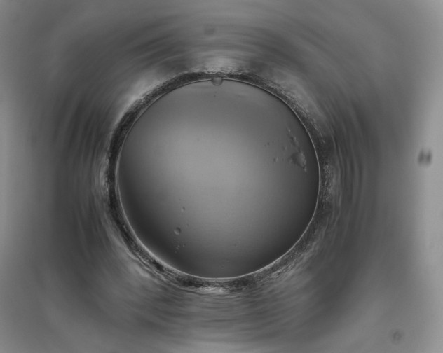 X0000094800392200711161503