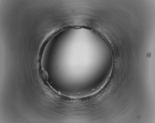 X0000094800395200711161503