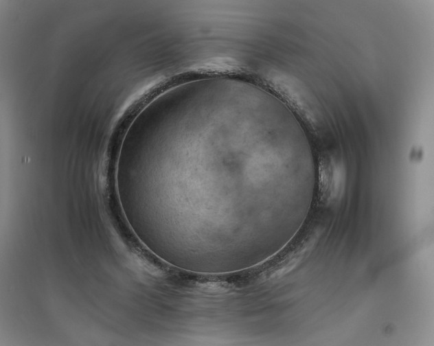 X0000094800396200711161503