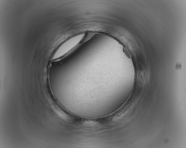 X0000094800397200711161503