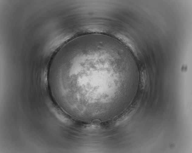 X0000094800398200711161503
