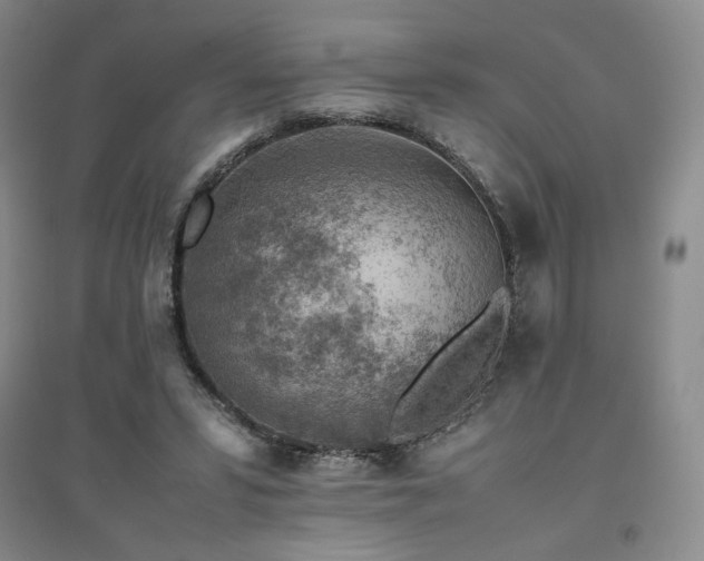 X0000094800399200711161503