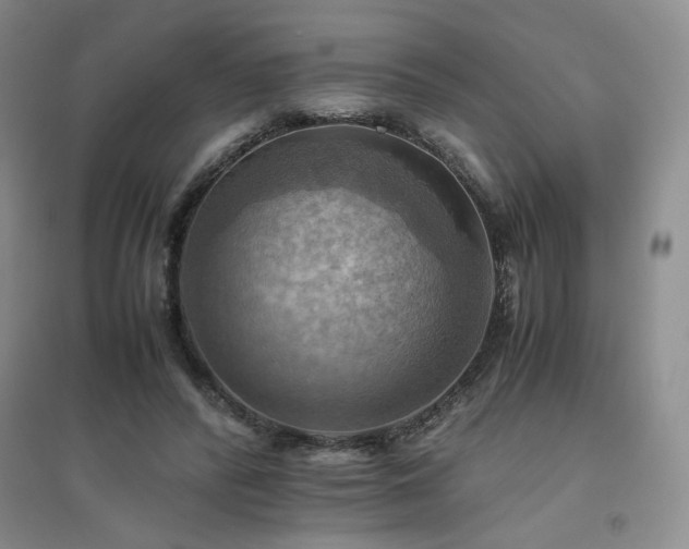 X0000094800400200711161503