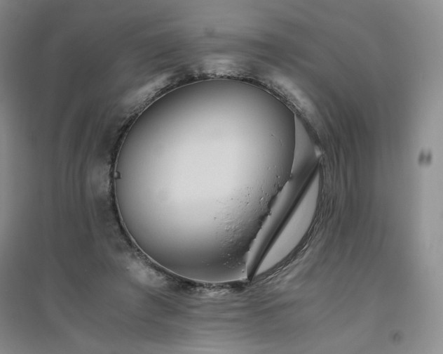 X0000094800401200711161503