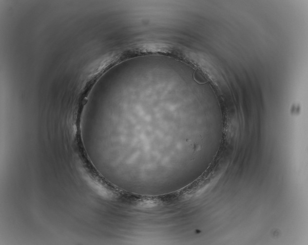 X0000094800402200711161503