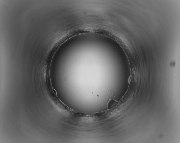 X0000094800404200711161503