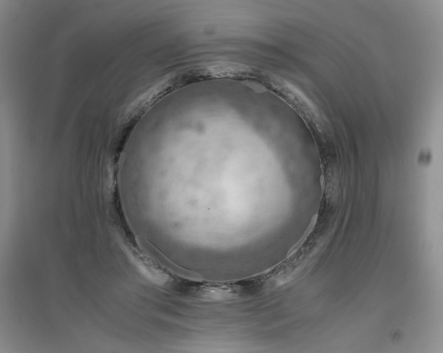 X0000094800405200711161503