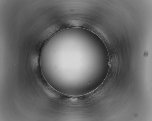 X0000094800406200711161503