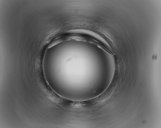 X0000094800407200711161502