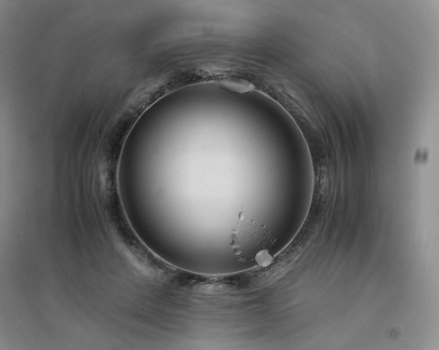 X0000094800408200711161502