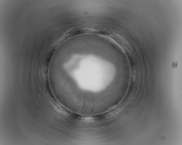 X0000094800409200711161502