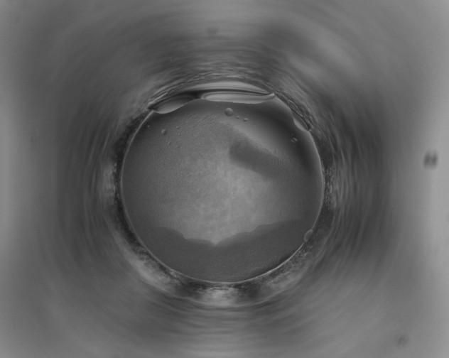 X0000094800410200711161502