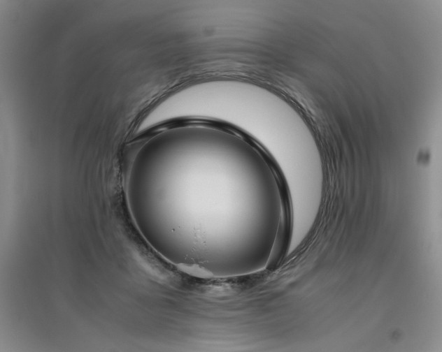 X0000094800411200711161502