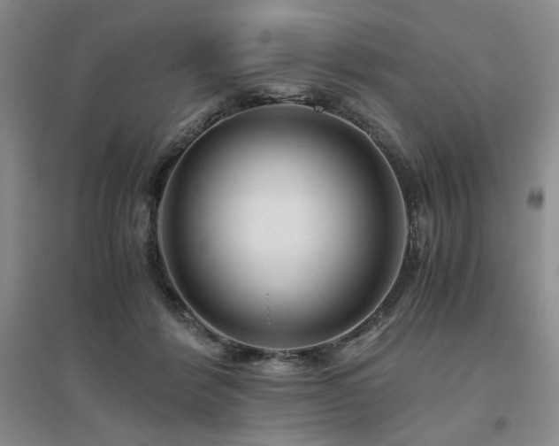 X0000094800412200711161502