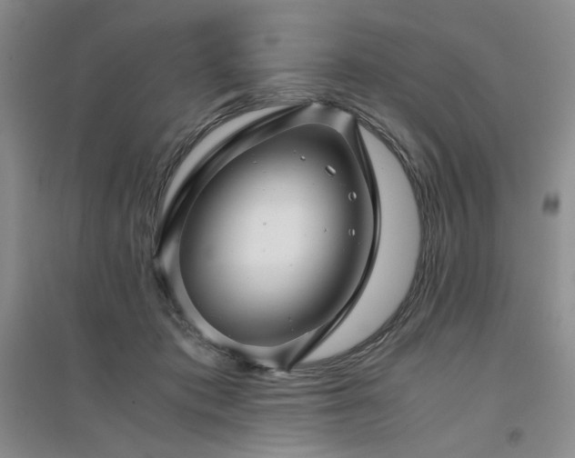 X0000094800413200711161502