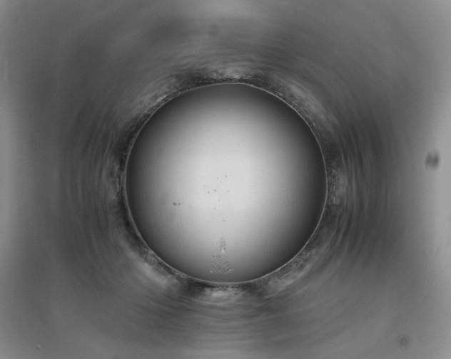 X0000094800414200711161502