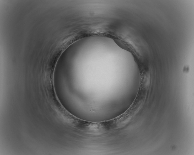 X0000094800415200711161502