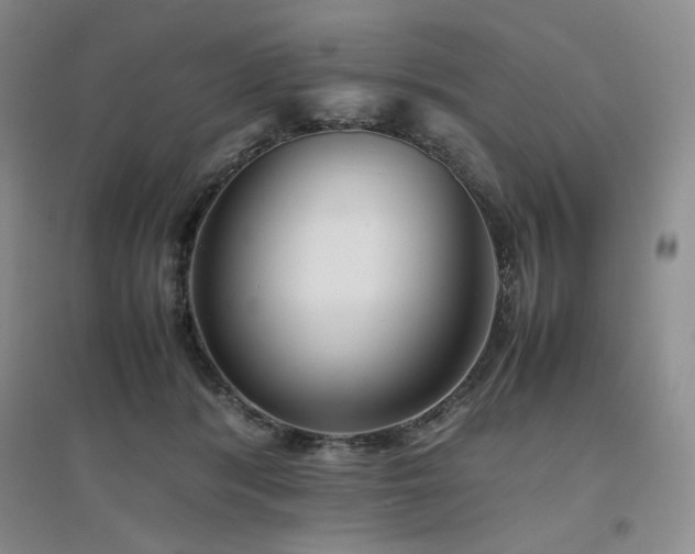 X0000094800416200711161502