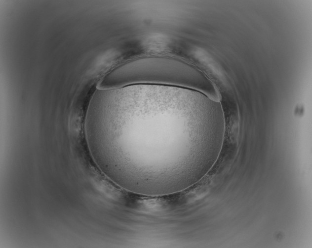 X0000094800417200711161502
