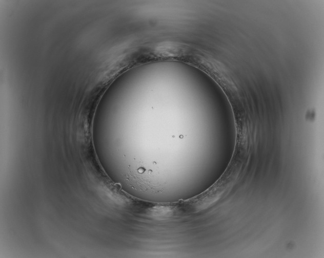 X0000094800418200711161502