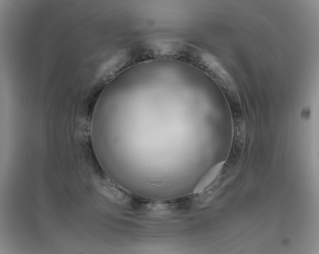X0000094800419200711161502