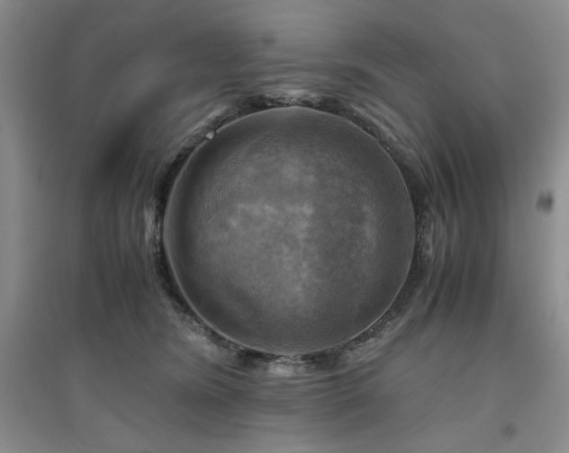 X0000094800420200711161502