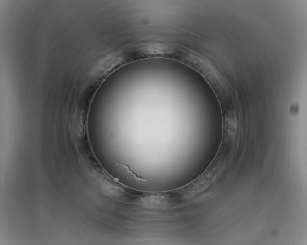 X0000094800422200711161502