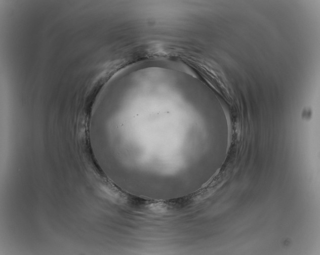 X0000094800423200711161502