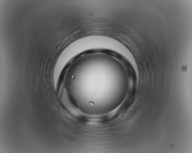 X0000094800425200711161502